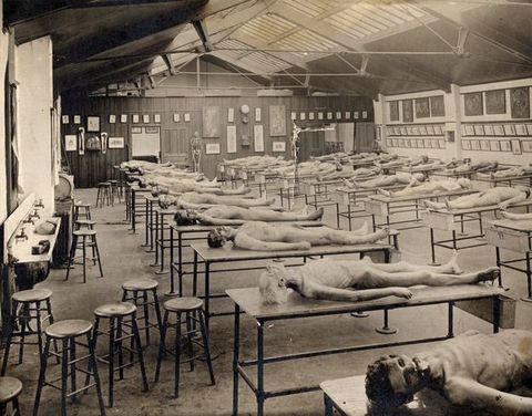 Black and white photograph. Twenty-six cadavers are laid out on long tables in this cavernous room. The room is lit from skylights above. A row of four sinks is on the wall to our left. The walls are hung with illustrations of dissections.