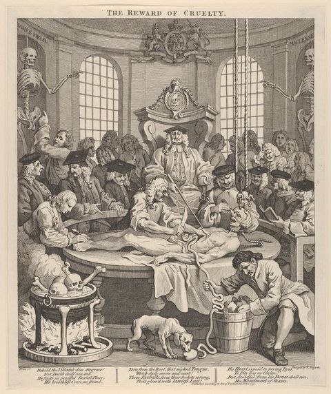 Print. A scrawny body with a noose around its neck lies on a dissection table. Three men cut the corpse while a fourth pulls entrails into a bucket. A gallery of men wearing powdered, curly wigs look on around a throne-like seat occupied by a man in heavy robes.