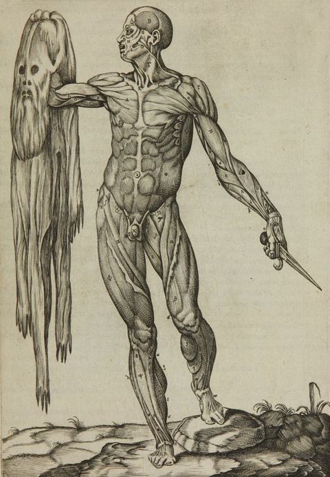 Illustration. A man stands holding a dagger in one hand and his flayed skin in the other. The man’s muscles and skull are visible and numbered. He stands with most of his weight on one foot, the other toe perched on a rock on a dirt ground.